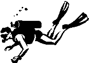Image19.gif (2031 bytes)